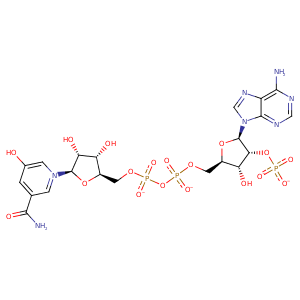 3tn7_1 Structure