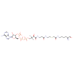 3to6_1 Structure