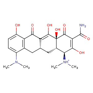 3v3n_4 Structure