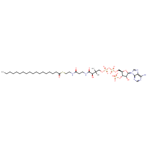 3whc_1 Structure