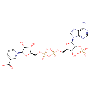 3wie_3 Structure