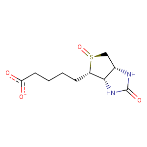 3wyp_2 Structure