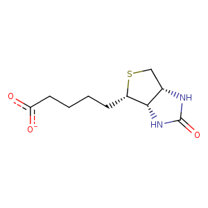 3wyq_2 Structure