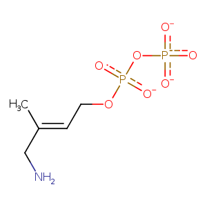 3zgl_1 Structure