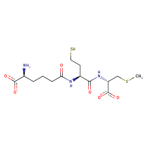 3zky_1 Structure