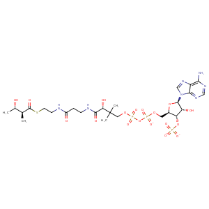 3zw9_1 Structure