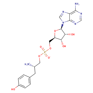 3zxi_1 Structure