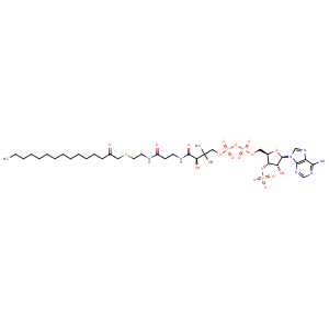 4a95_2 Structure