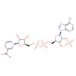 4aic_1 Structure