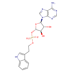 4b2g_2 Structure