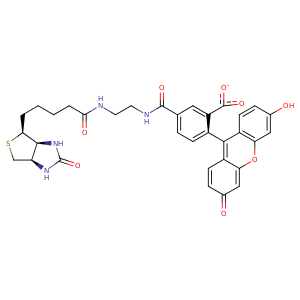 4bx7_1 Structure