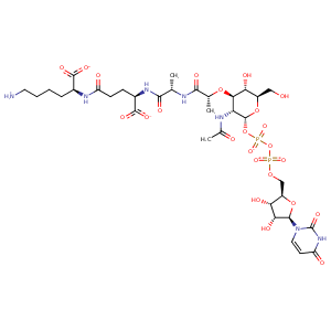 4c13_1 Structure