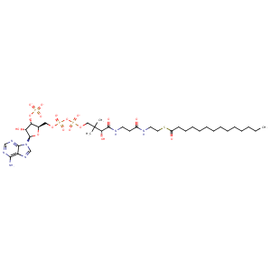 4c2y_1 Structure