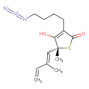 4c71_2 Structure