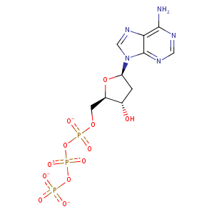 4coj_2 Structure