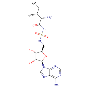 4cqn_4 Structure