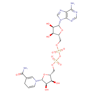 4cuk_2 Structure