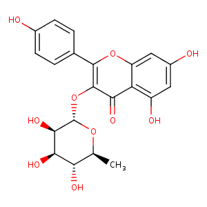 4el9_1 Structure