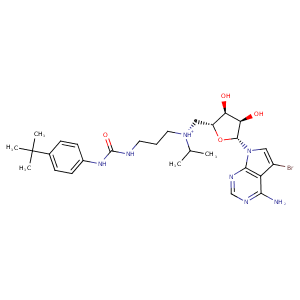 4er6_1 Structure