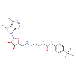 4er7_1 Structure