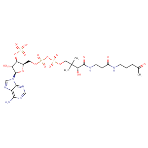 4euc_1 Structure