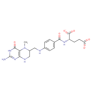 4fog_2 Structure