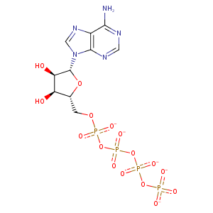 4fwn_1 Structure