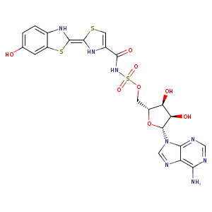 4g36_1 Structure