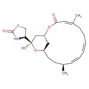 4gy2_1 Structure