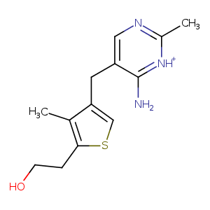 4hcy_2 Structure