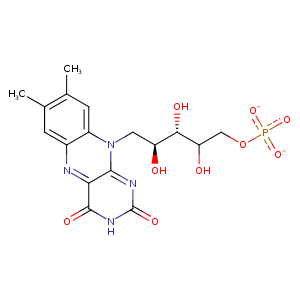 4hmw_2 Structure