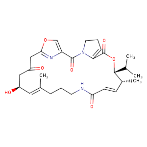 4hus_1 Structure