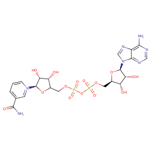 4i1w_1 Structure