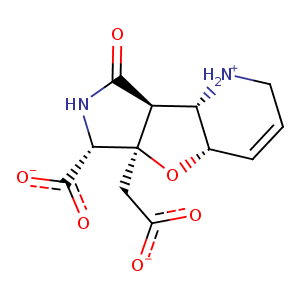 4isu_2 Structure