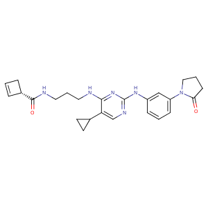 4iwo_1 Structure