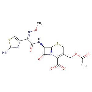 4kot_1 Structure