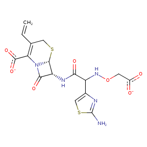 4kou_1 Structure