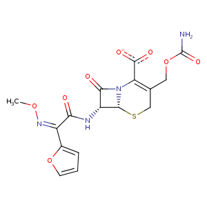 4kov_1 Structure