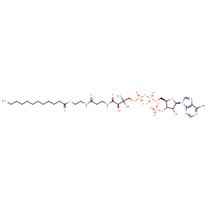 4ku5_1 Structure