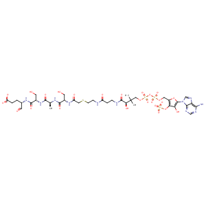 4kvm_3 Structure