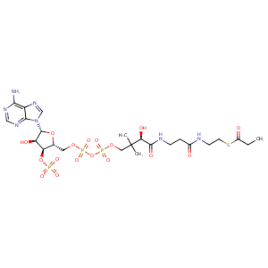 4l9y_1 Structure