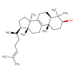 4lxj_1 Structure