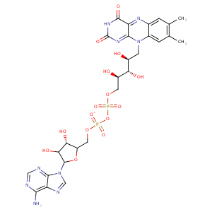 4mok_3 Structure