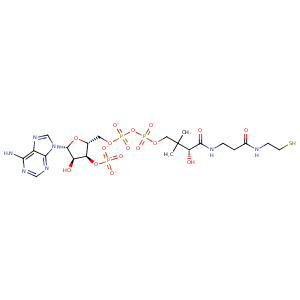 4mzq_5 Structure