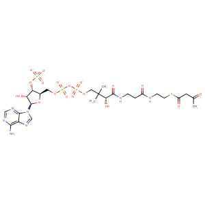 4nbu_3 Structure