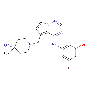 4nfn_1 Structure