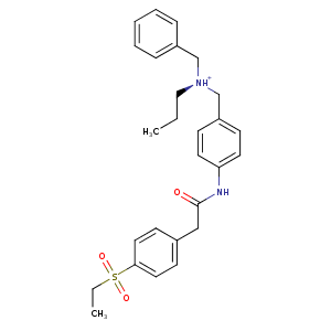 4nie_1 Structure