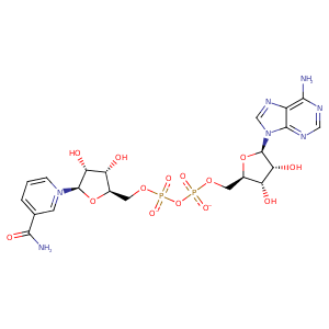 4nu6_2 Structure