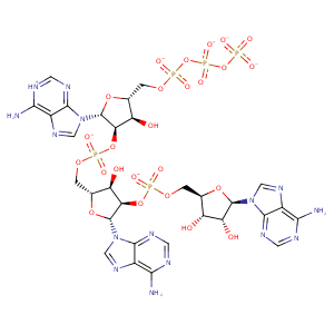 4o1p_1 Structure