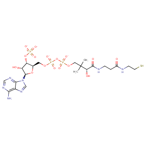 4o9c_1 Structure